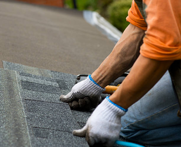 Professional Roofing Contractor in Red Bank, TN