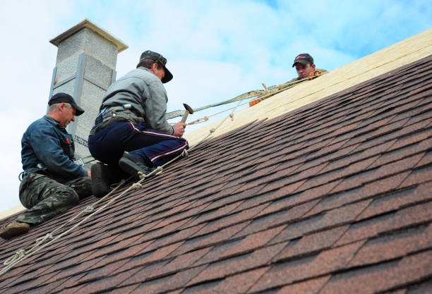 Best Gutter Installation and Roofing  in Red Bank, TN